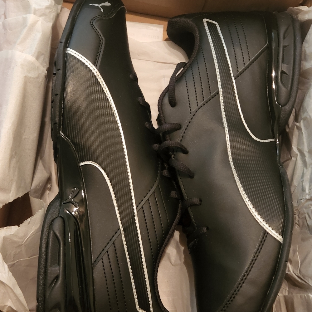 Puma